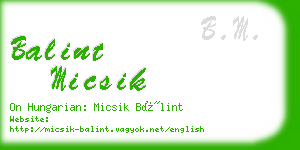 balint micsik business card